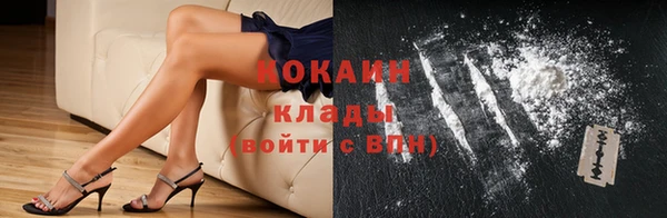 шишки Костерёво