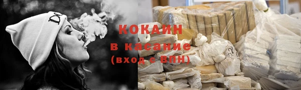 шишки Костерёво