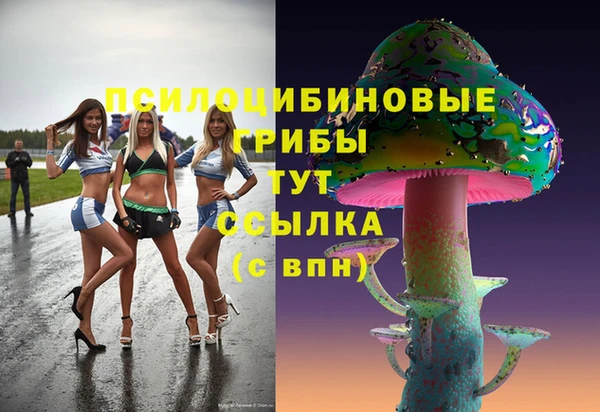 альфа пвп Коряжма
