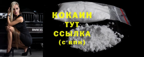 шишки Костерёво