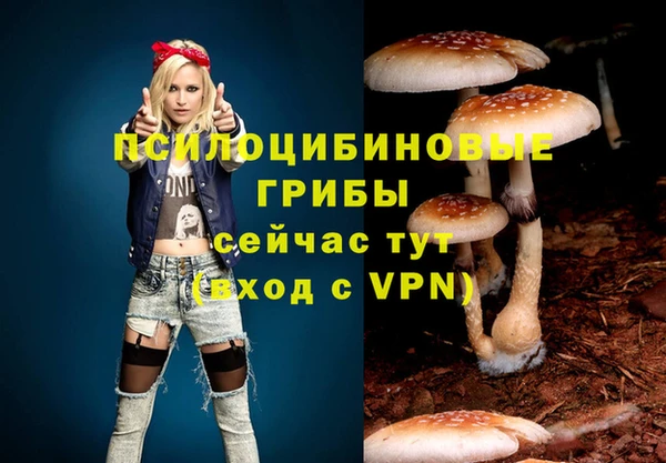 альфа пвп Коряжма