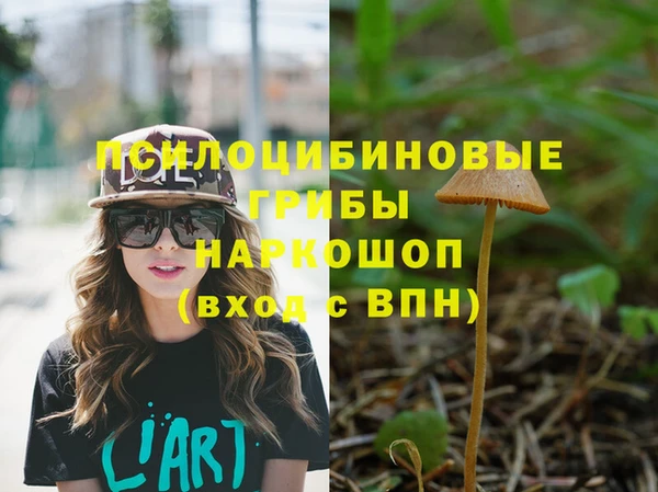 альфа пвп Коряжма