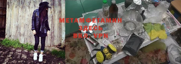 шишки Костерёво